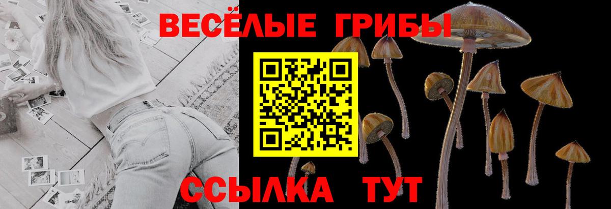 Галлюциногенные грибы Psilocybine cubensis  Вход с VPN  Нягань  Галлюциногенные грибы GOLDEN TEACHER 